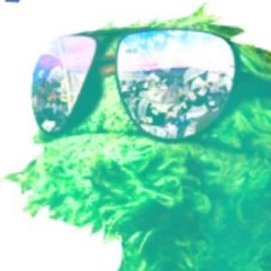 Meet your Posher, The fastest